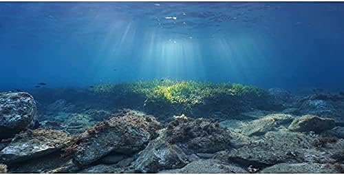 AWERT Óceán akvárium Háttér Víz alatti Kő Akvárium Háttér 36x24 cm Vinil