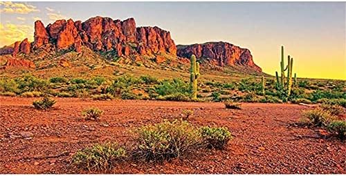 AWERT 30x12 hüvelyk Hüllő Élőhely Háttérben Ég Oázis Hegy Kaktusz Nap Sivatagban Terrárium Háttér Tartós Poliészter