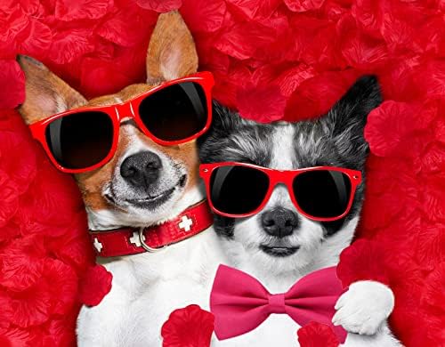 Amajiji® Hivatalos Kutya csokornyakkendőt Közepes & testű Kutyáknak (D114 Poliészter) (Rose Red)